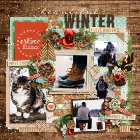 beautifulwinterF700.jpg