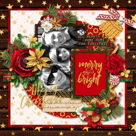bmagee-singleton78-ornament_DSI_KCB_getfestivechristmas_robin_web.jpg