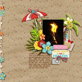 bonfire2.jpg