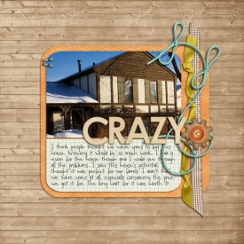 crazyweb2.jpg