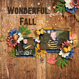 fallNovember2007web.jpg