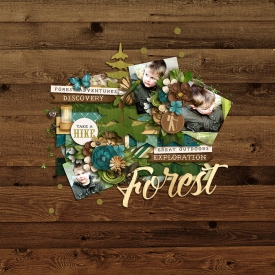 foresttrailsF700.jpg