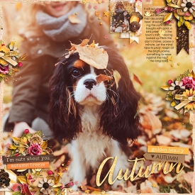 goldenbeautyF700.jpg
