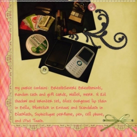 inside_my_purse.jpg