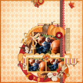 patch2010p2.jpg