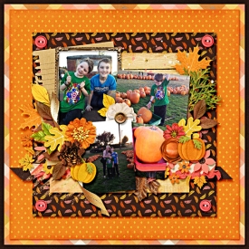 pumpkinpatch_2015_web.jpg