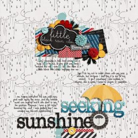 seeking-sunshineSSD.jpg