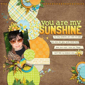 sunshine-web5.jpg