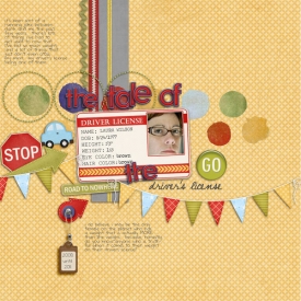 the-tale-of-the-drivers-license.jpg