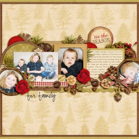 tistheseasonforfamily.jpg