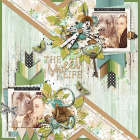 tnp-CHEVRON-BLISS-PAGE-DRAFTS-JenniR.jpg