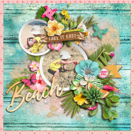 tnp-tropicalbreeze-pd3-Aud_LO3.jpg