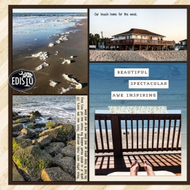 web_2018_04_April6a_EdistoBeachWalk_SwL_EverydayTemplate25_left.jpg