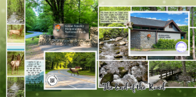 web_2022_05_May12_GSMNP_Elk_LG_modular-album-Template.jpg