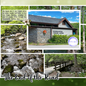 web_2022_05_May12_GSMNP_Elk_LG_modular-album-Template_right.jpg