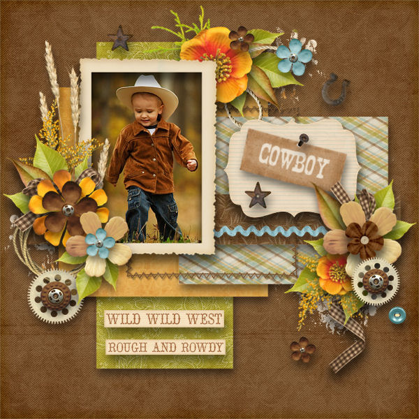 vd-cowboy