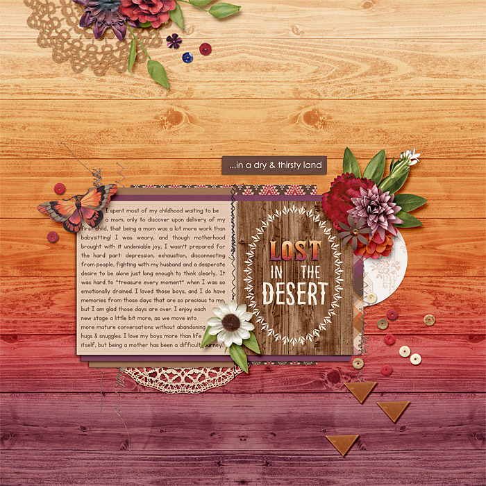 web_LostInTheDesert