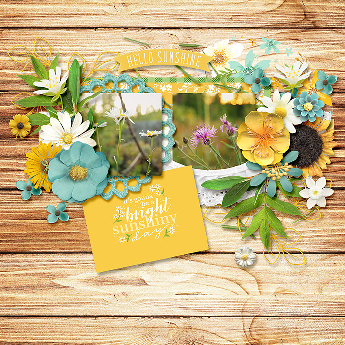 wildflowers3