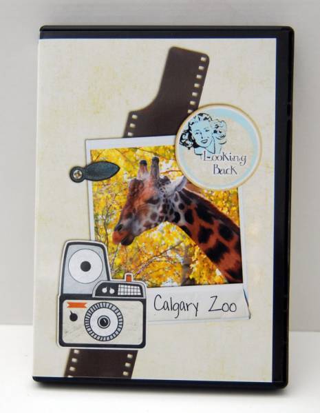 Video Case Insert