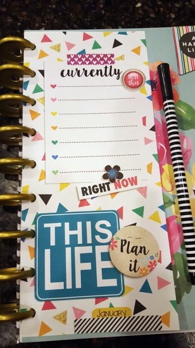 Happy Planner Currently Insert