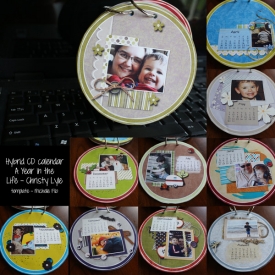 2010_hybrid-cd-calendar.jpg