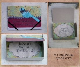 BirdieHybridCard-copy.jpg