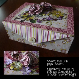 Hybrid_Covered-box.jpg