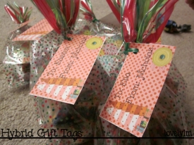 gift_tags1.jpg