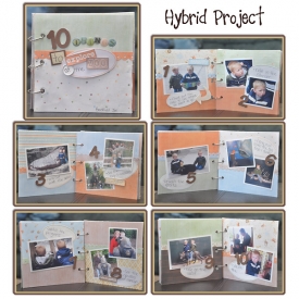 hybrid-10-Book.jpg
