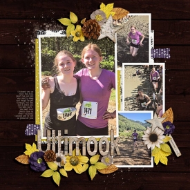 2-ultimook0902mb.jpg