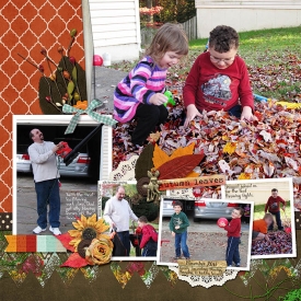 AutumnLeaves_rach3975.jpg