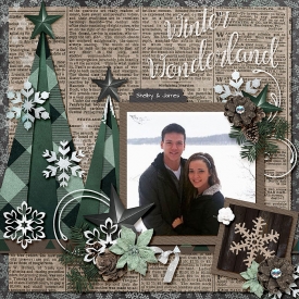 Evergreenwonderland_FestivalOfTrees7001.jpg