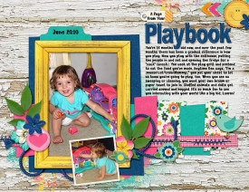 Playbook_rach3975.jpg