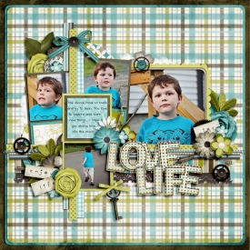 lovelife-web.jpg