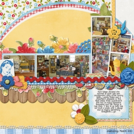 robyns_shop.jpg