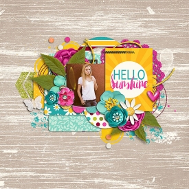 sunshine-web-7001.jpg