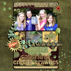 catchingcreepycrawliesweb.jpg