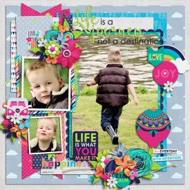 lifeisajourneyF700.jpg