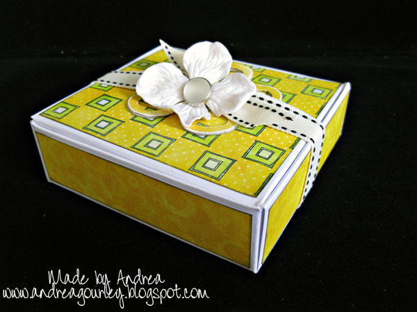 eva-yellow-box