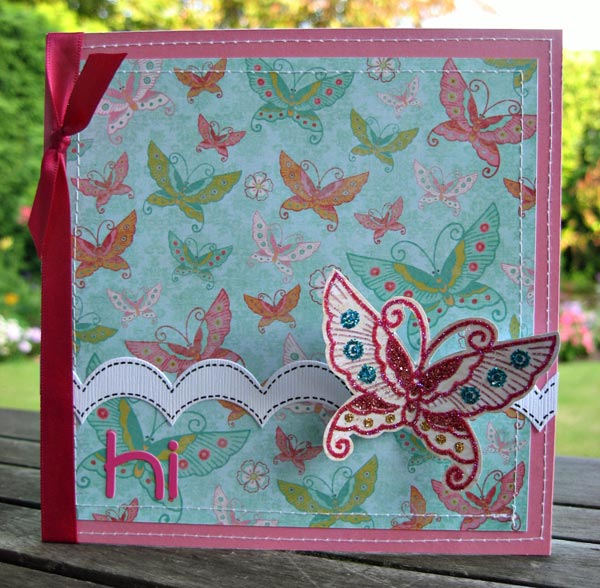 ssd-butterfly-hi