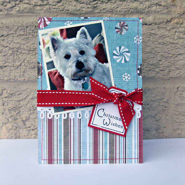 ssd-haggis-christmas-card