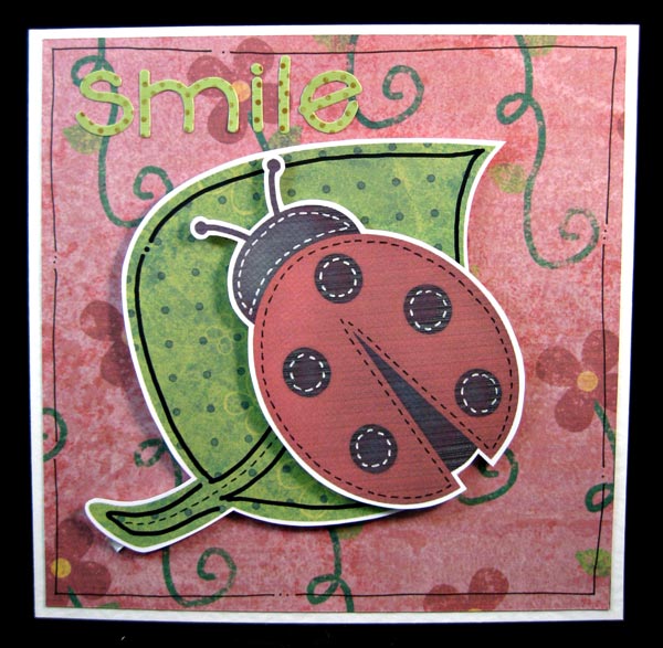 ssd-ladybird