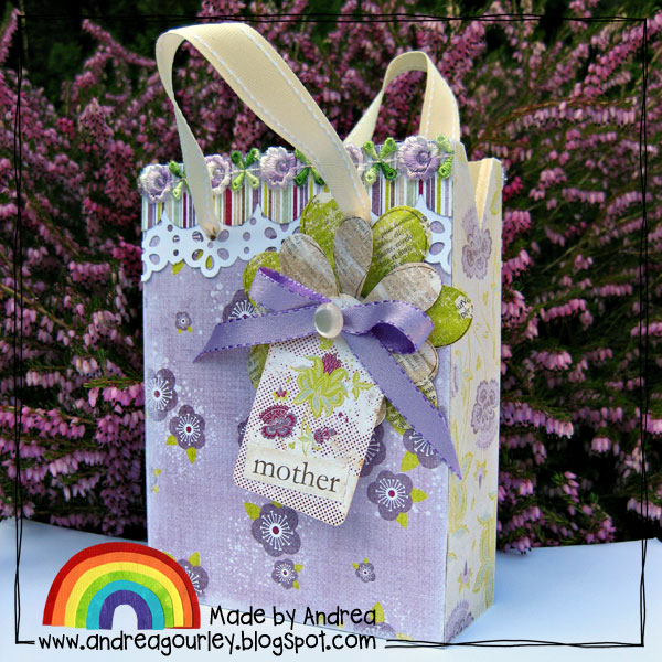 ssd-mother-bag