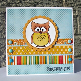ssd-cps-owl.jpg