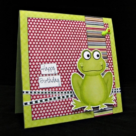 ssd-frog.jpg