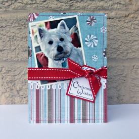 ssd-haggis-christmas-card.jpg