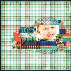 040110handsomelittlecharmer.jpg