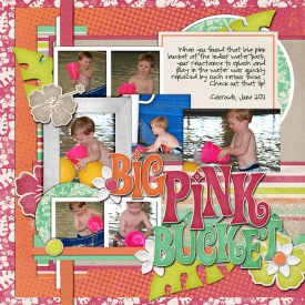 HN-Big-Pink-Bucket-0611.jpg