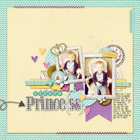 Little-Prince6001.jpg