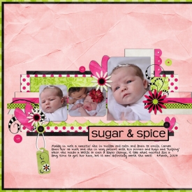Sugar-and-Spiceweb.jpg